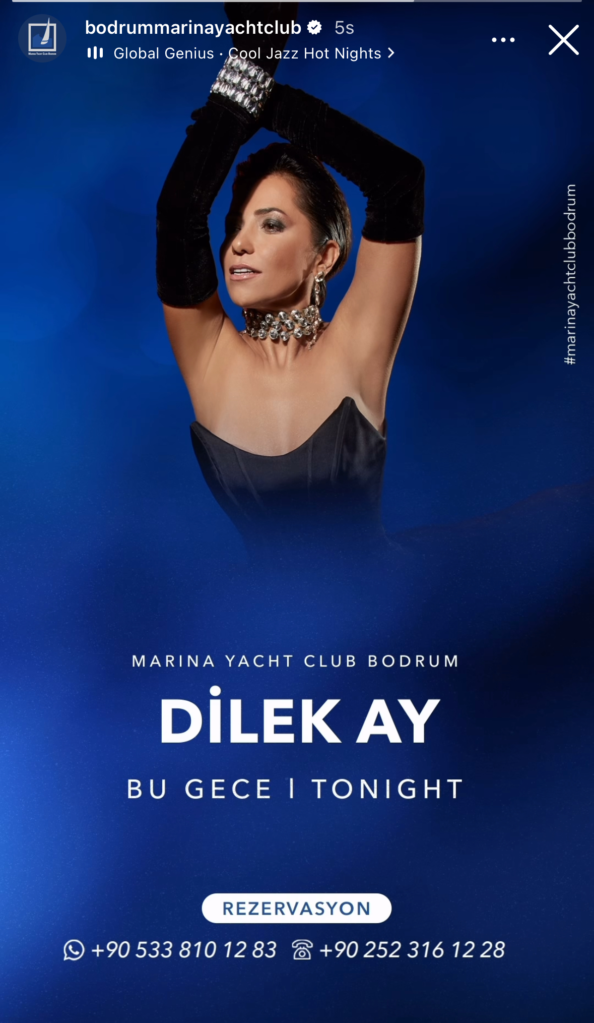 DİLEK AY Etkinlik afişi