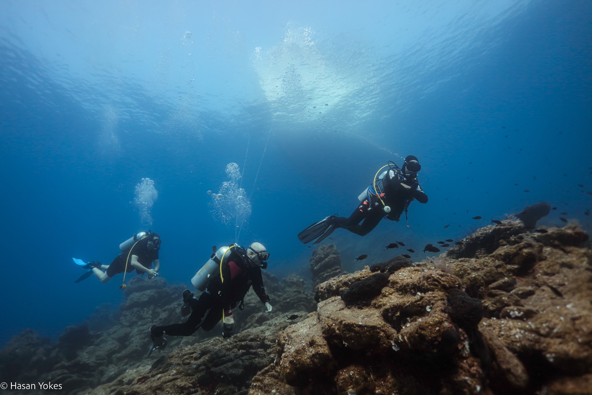 TRY SCUBA: Bodrum'un mavi derinliklerinde Deneme Dalışı Deneyim fotoğrafı