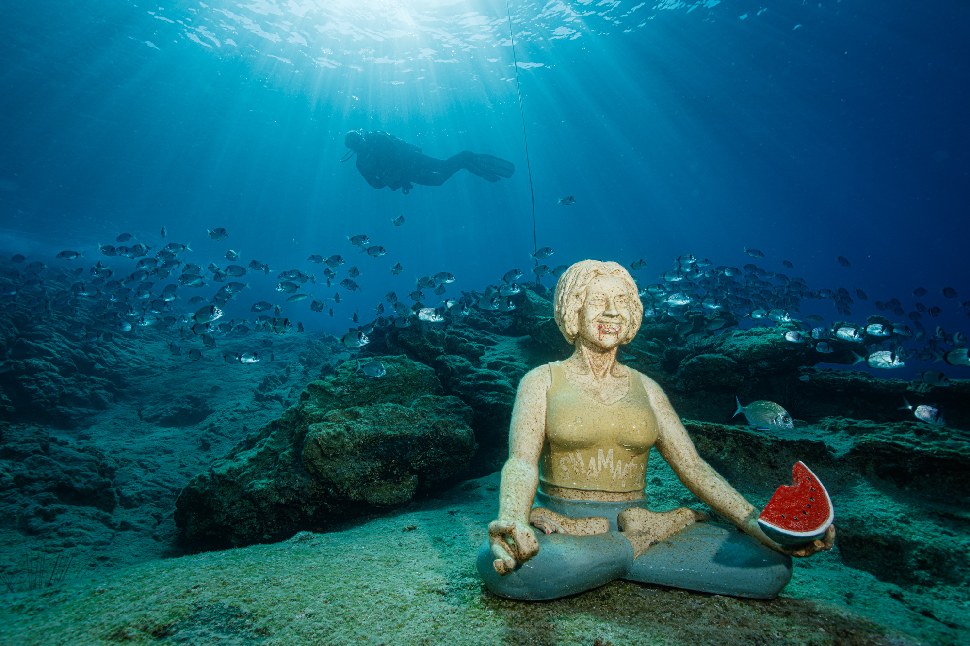 TRY SCUBA: Bodrum'un mavi derinliklerinde Deneme Dalışı Deneyim fotoğrafı