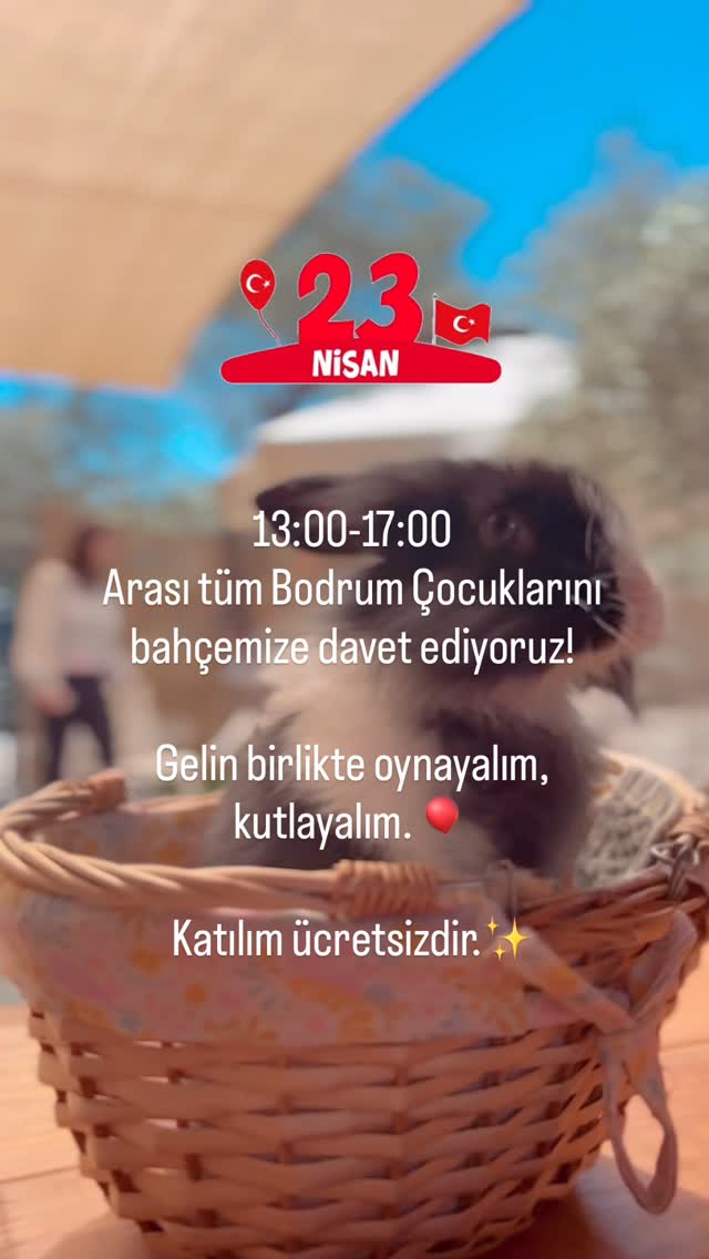 Bahçede Çocuk Etkinliği Etkinlik afişi