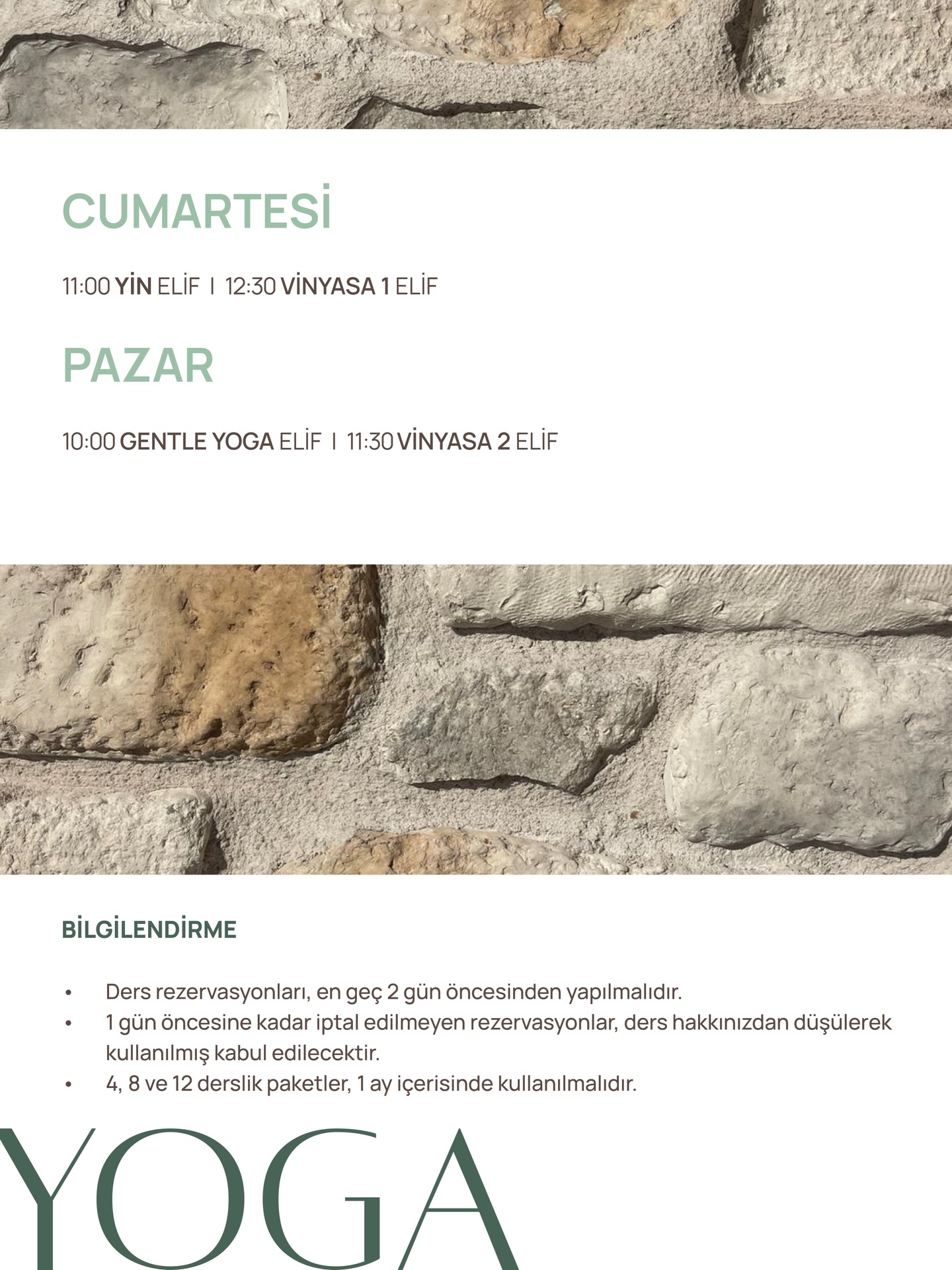 Vinyasa 2 — Elif Etkinlik afişi