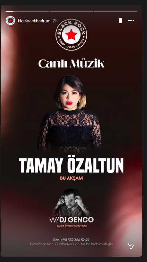 Tamay Özaltun Etkinlik afişi