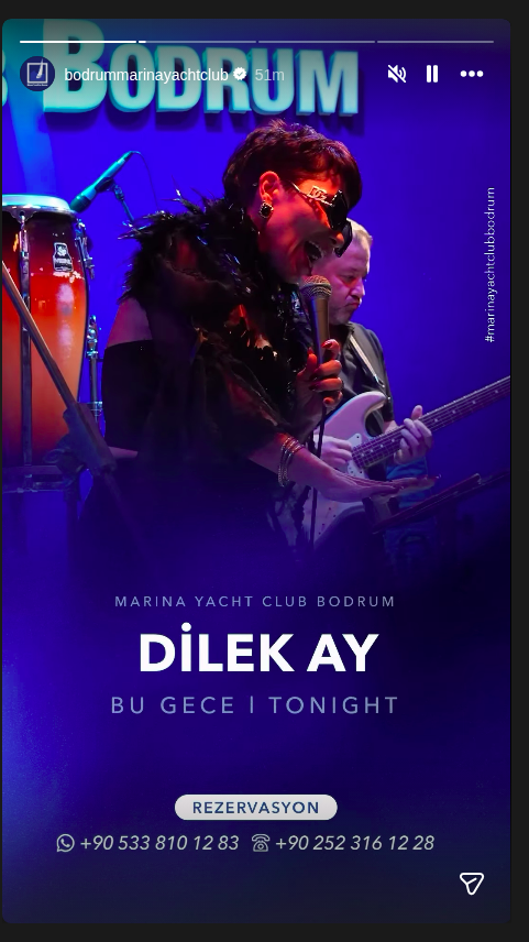 Dilek Ay Etkinlik afişi