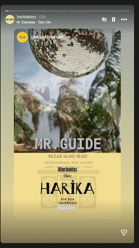 Mr. Guide Etkinlik afişi