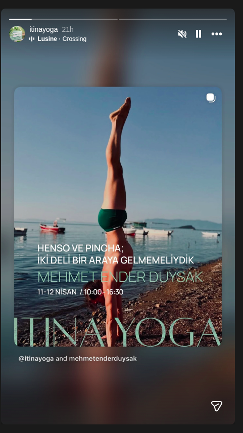 Mehmet Ender Duysak — Henso ve Pincha Etkinlik afişi