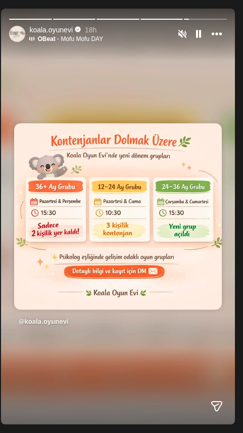 24–36 Ay Gelişim Grubu Etkinlik afişi