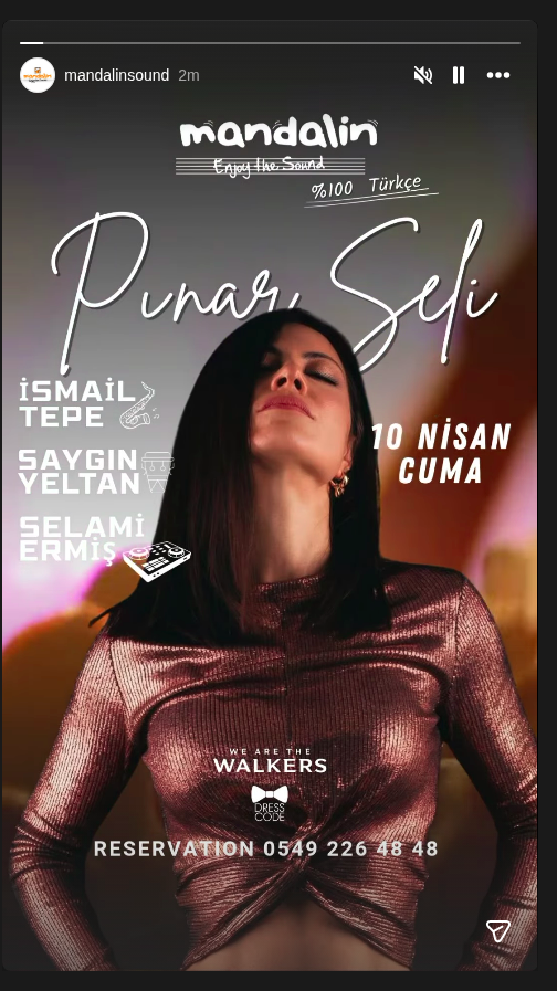 Pınar Seli – Açılış Gecesi Etkinlik afişi