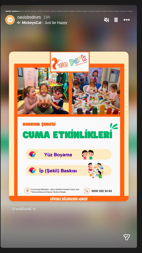 Yüz Boyama ve İp Baskısı Atölyesi Etkinlik afişi