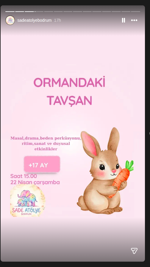 Ormandaki Tavşan Etkinlik afişi