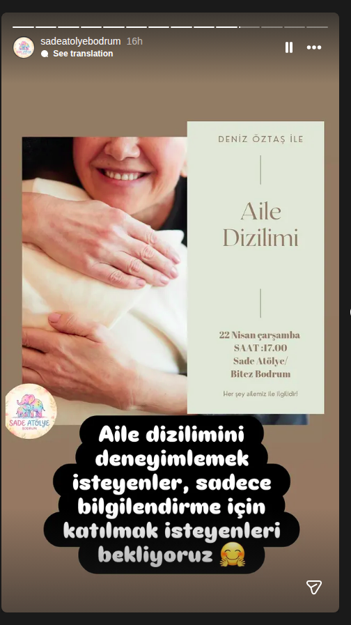 Deniz Öztaş — Aile Dizilimi Etkinlik afişi