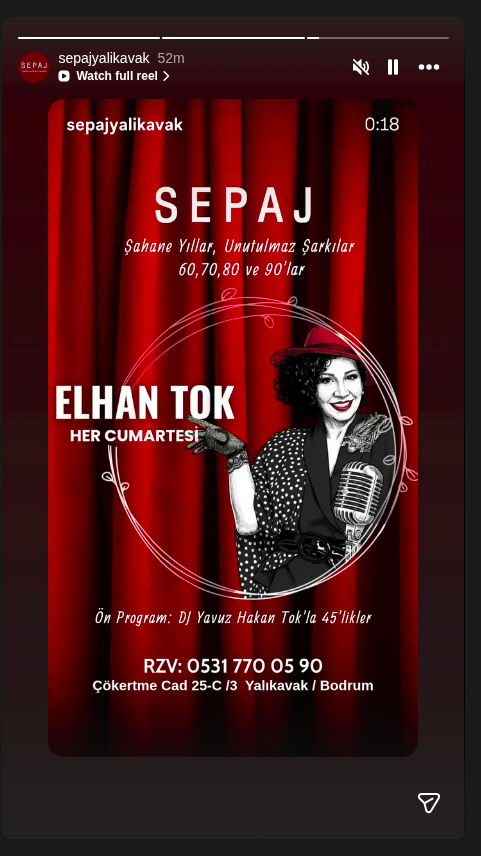 Elhan Tok — Şahane Yıllar Etkinlik afişi