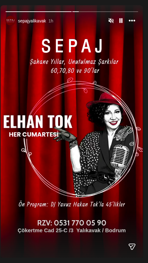 Elhan Tok — Şahane Yıllar Etkinlik afişi