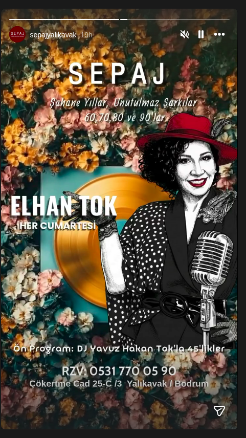 Elhan Tok — Şahane Yıllar Etkinlik afişi