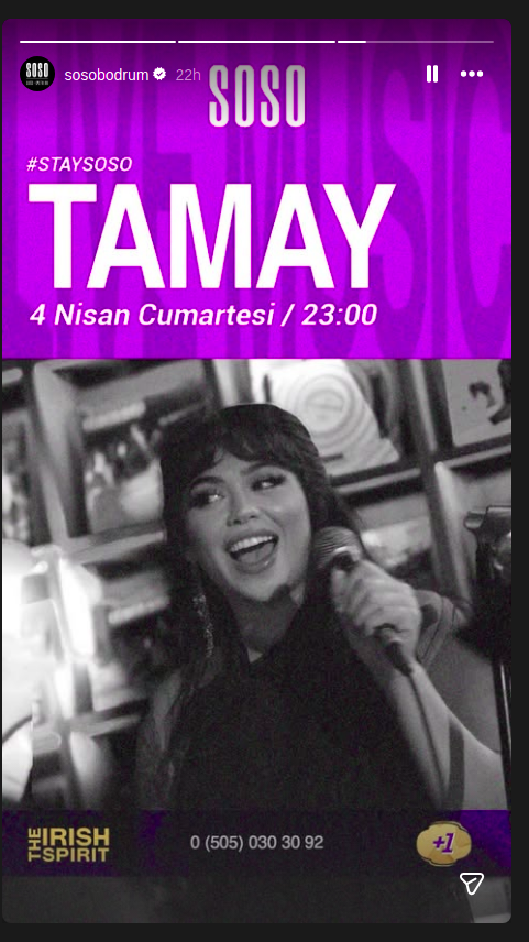 Tamay Etkinlik afişi