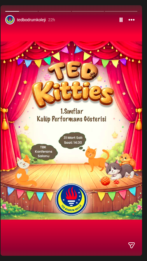 Ted Kitties — 1. Klassen Clubaufführung Event-Poster