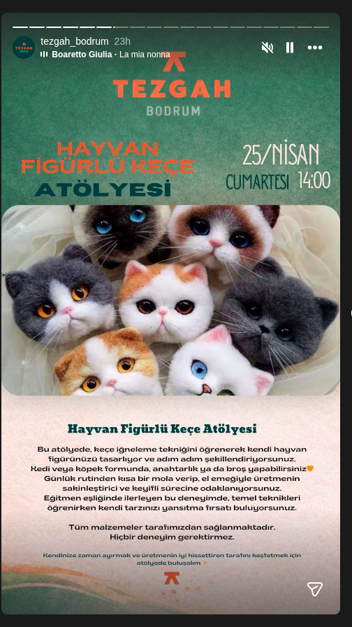 Hayvan Figürlü Keçe Atölyesi Etkinlik afişi