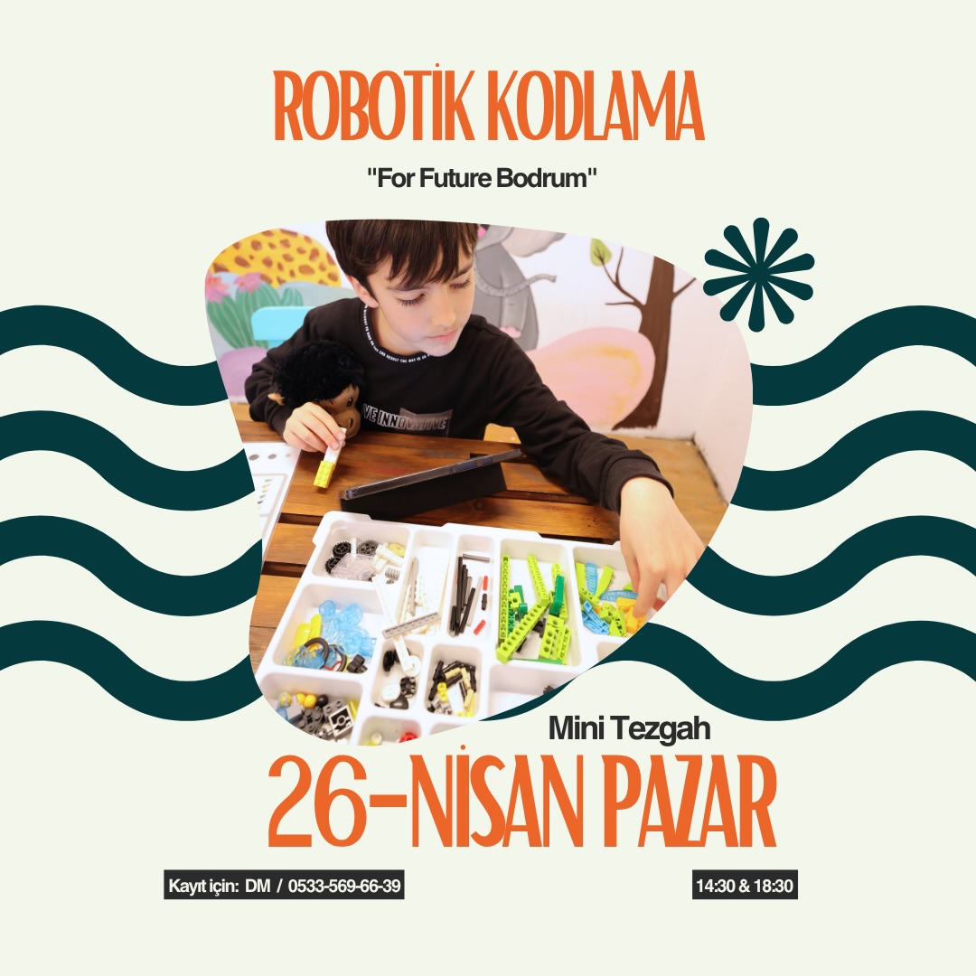 Робототехническое программирование Постер события