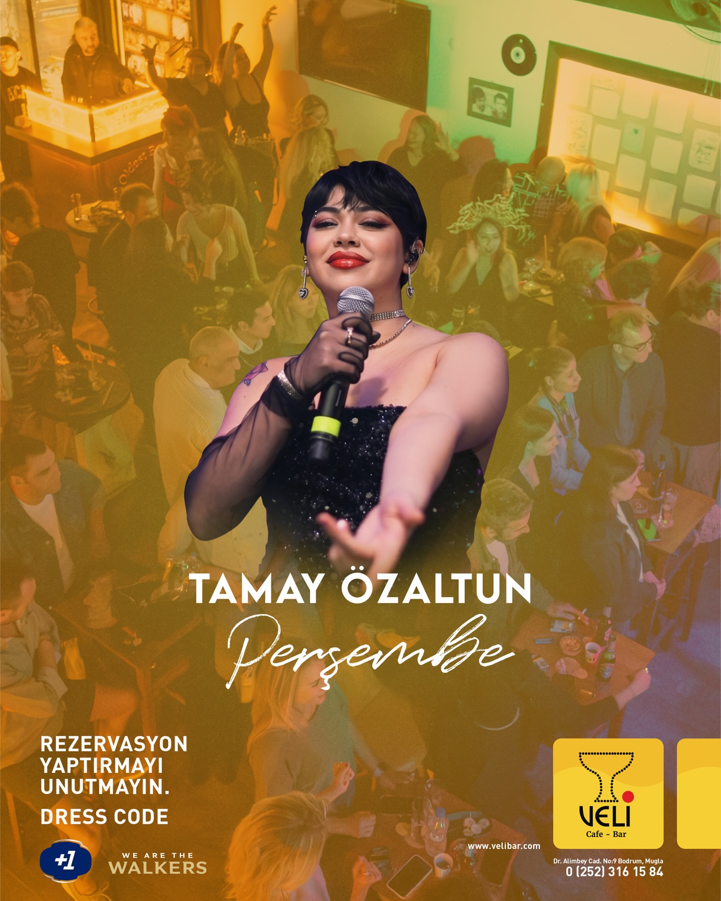 Tamay Özaltun Etkinlik afişi