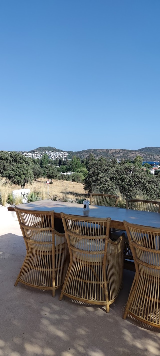 Bitz Bodrum fotoğrafı