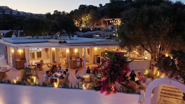 Bitz Bodrum fotoğrafı