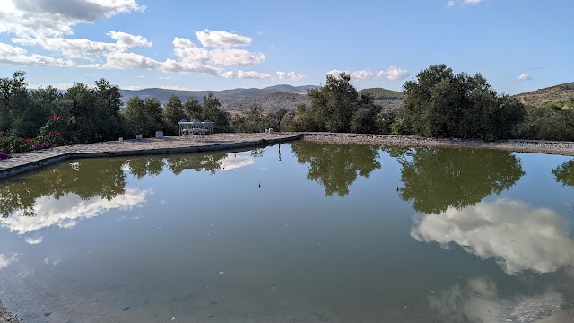 Karnas Vineyards fotoğrafı