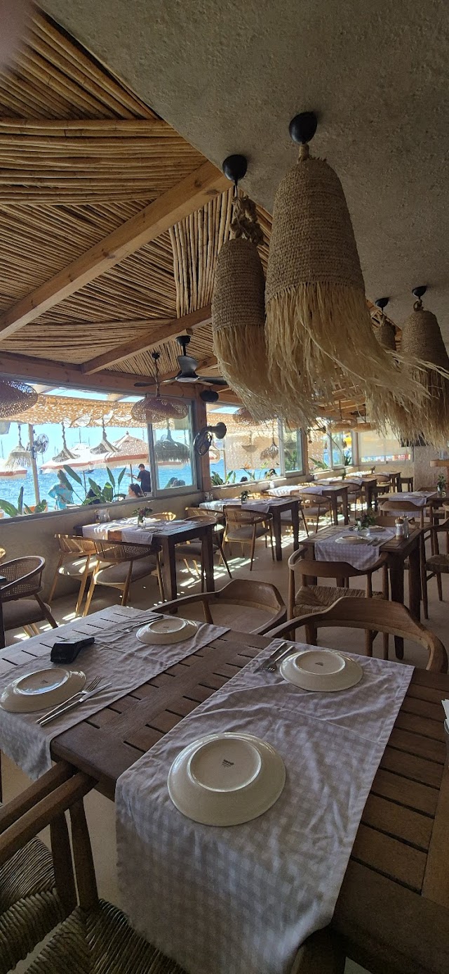 Churchill Bodrum fotoğrafı