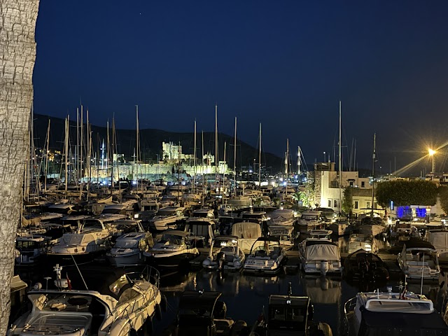 Marina Yacht Club Bodrum fotoğrafı