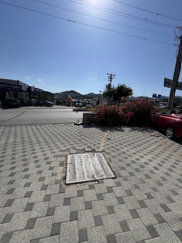 Ditto Akademi fotoğrafı