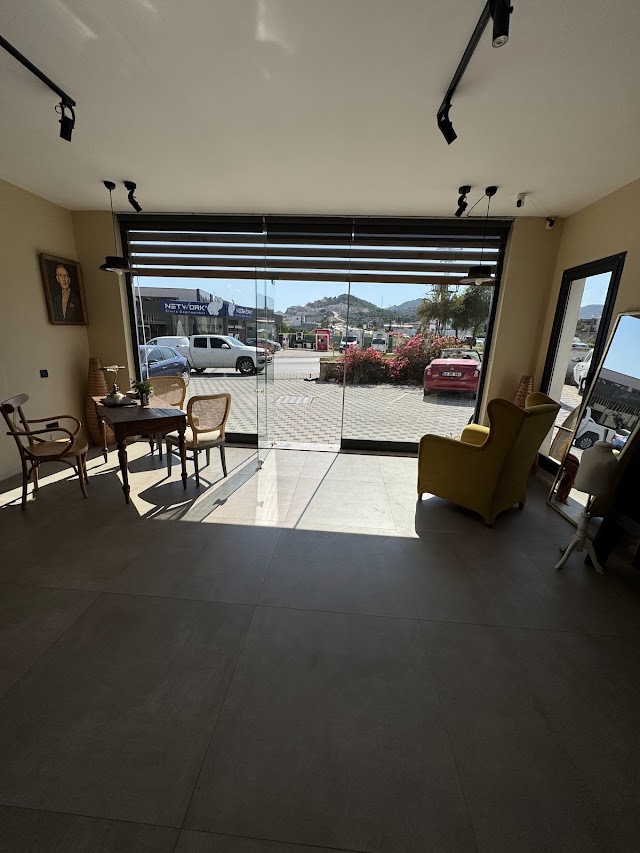 Ditto Akademi fotoğrafı