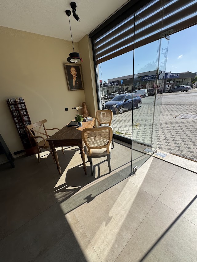 Ditto Akademi fotoğrafı