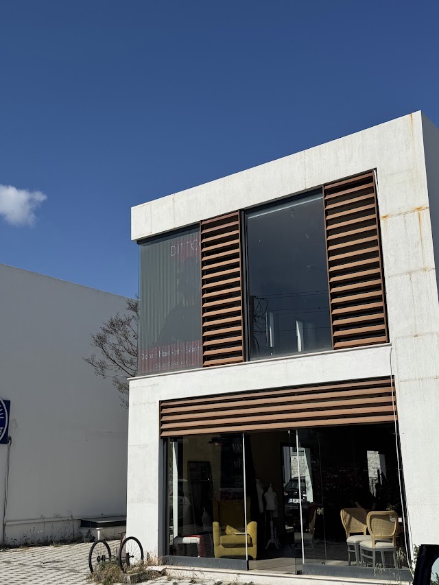 Ditto Akademi fotoğrafı