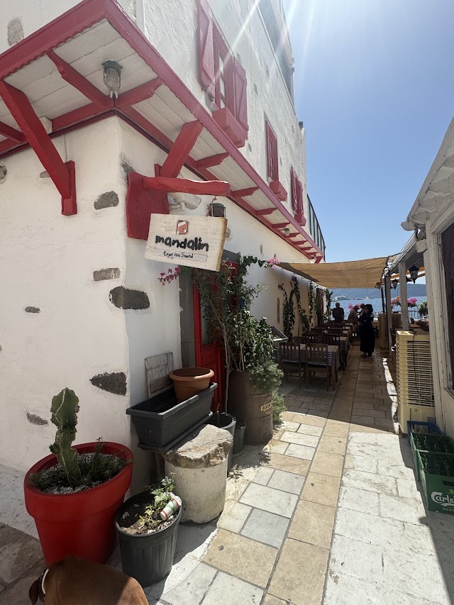 Mandalin fotoğrafı