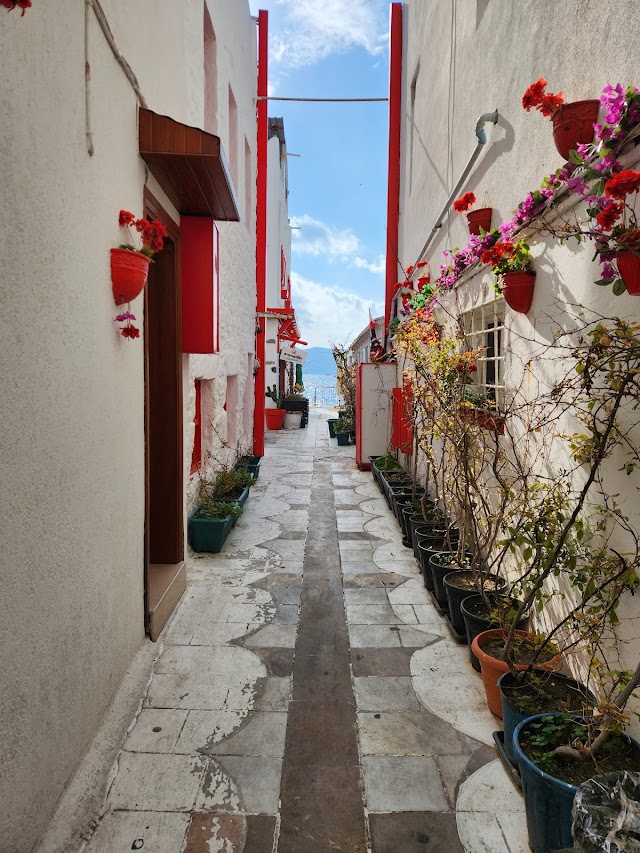 Mandalin fotoğrafı