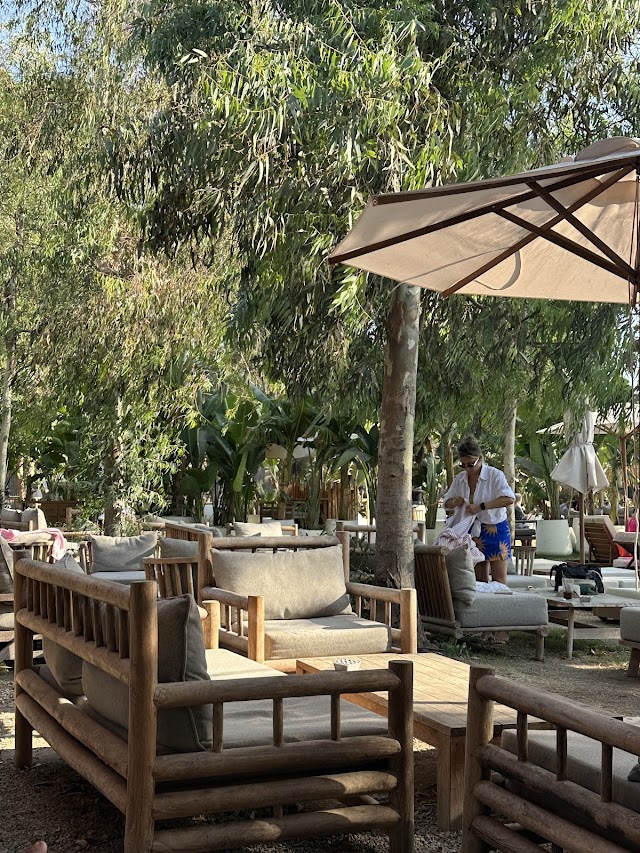 Alas Bodrum fotoğrafı