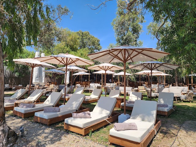 Alas Bodrum fotoğrafı