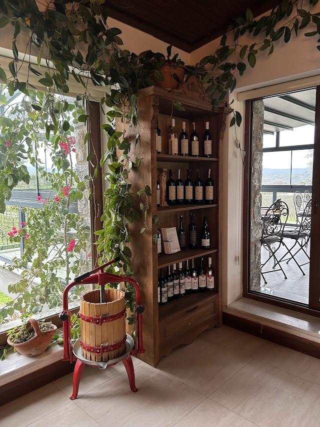 Mor Salkım Bağları fotoğrafı