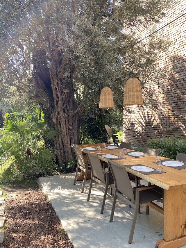 Zai Yaşam Bodrum fotoğrafı