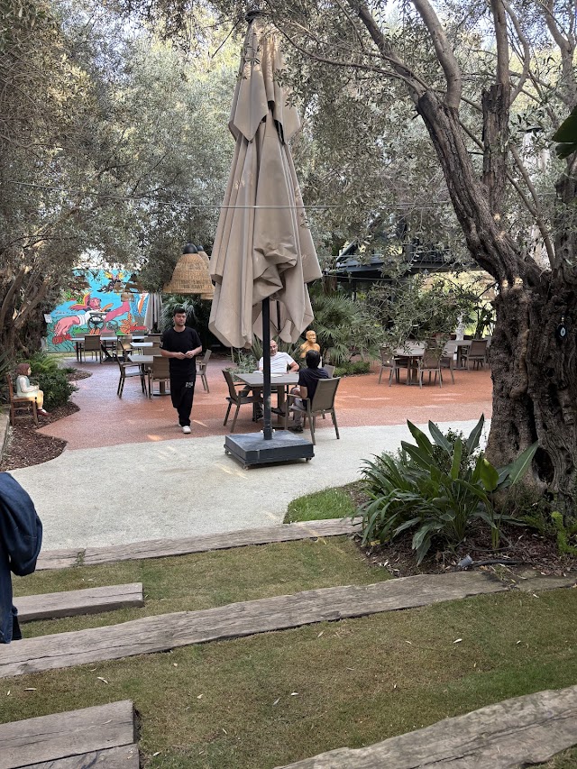 Zai Yaşam Bodrum fotoğrafı