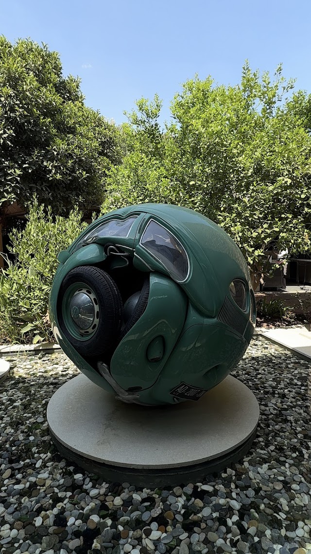 Zai Yaşam Bodrum fotoğrafı