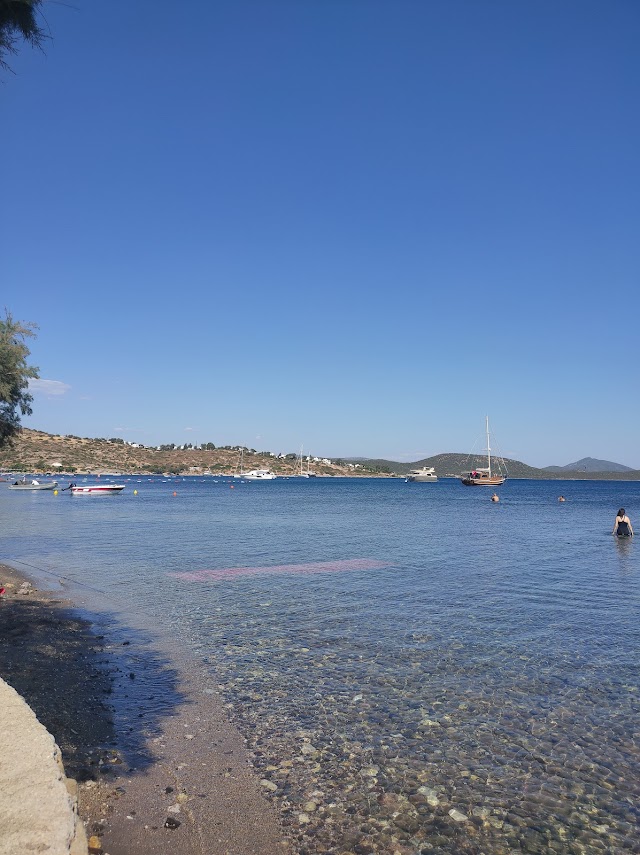Pab Gastro Pub & Beach fotoğrafı