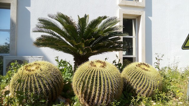 Bodrum Belediyesi Şehir Tiyatrosu (Nurol Kültür Merkezi) fotoğrafı