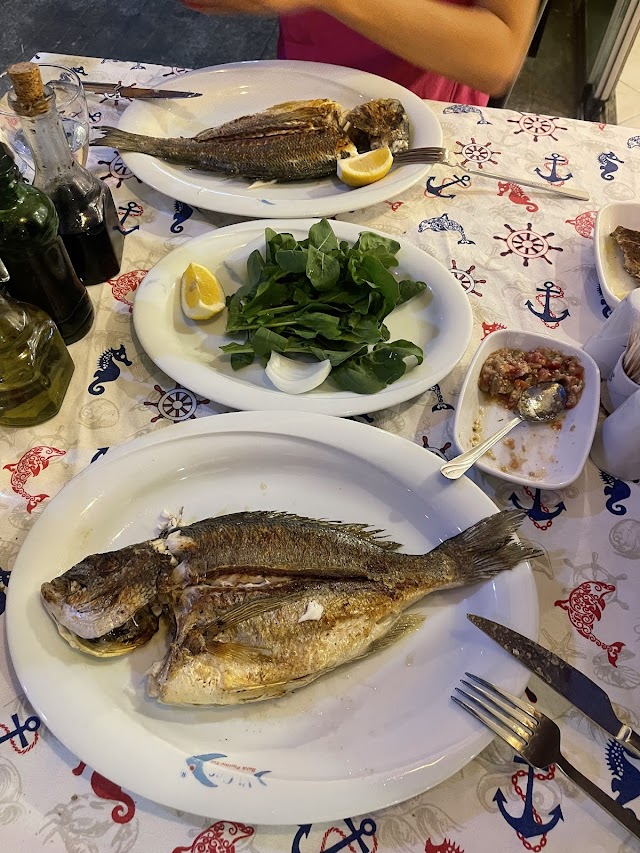 merqezart fotoğrafı