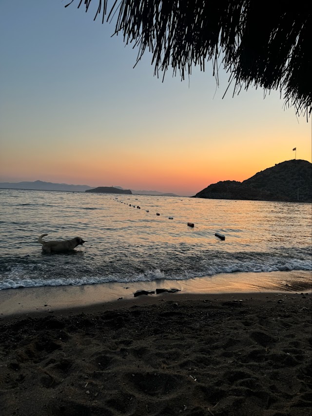 Cafe Bien fotoğrafı