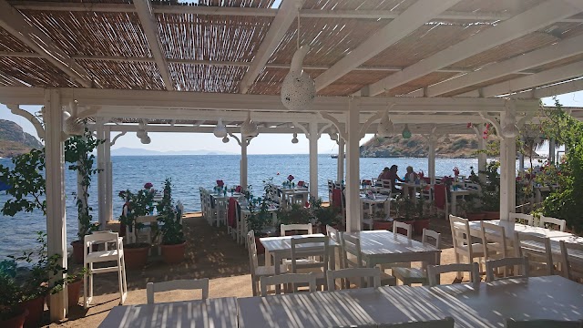 Club Gümüşlük fotoğrafı