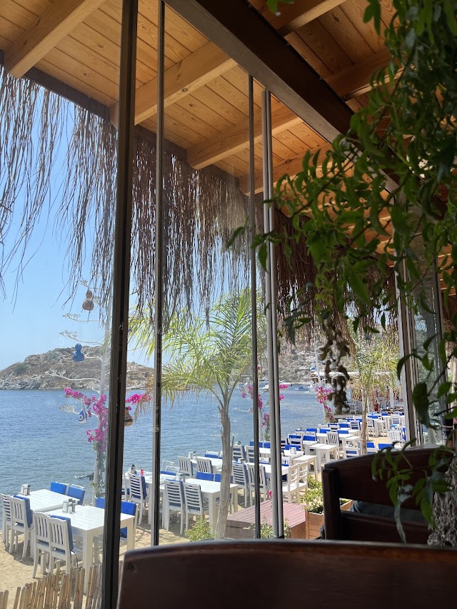 Club Gümüşlük fotoğrafı