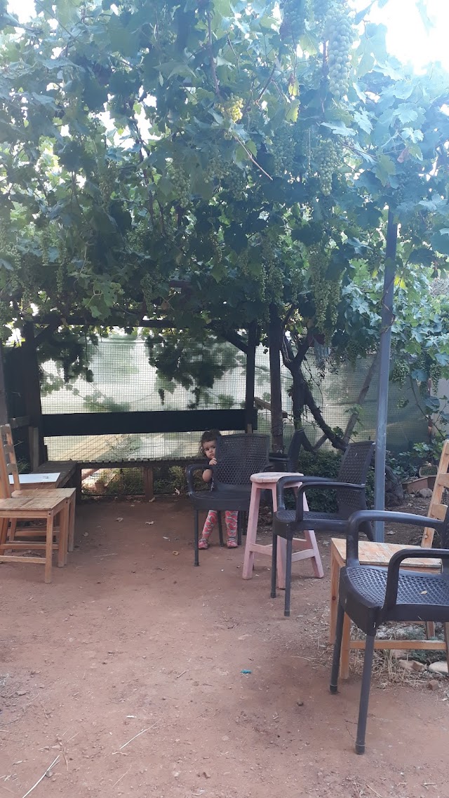 artedemy fotoğrafı