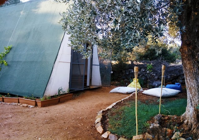 artedemy fotoğrafı