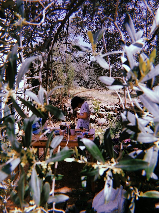 artedemy fotoğrafı