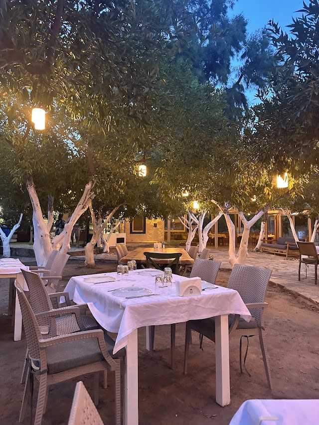 Çakır Bahçe fotoğrafı