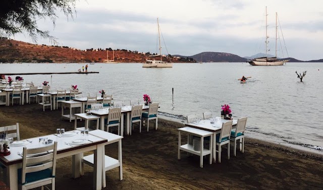 Ayana Oda fotoğrafı